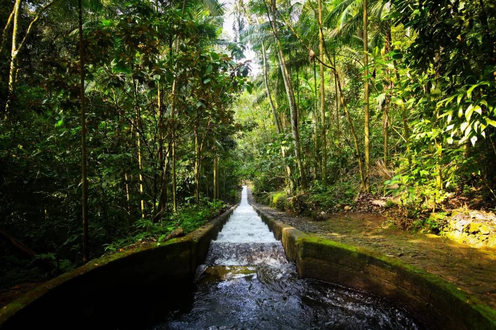 parque-estadual-pedra-branca