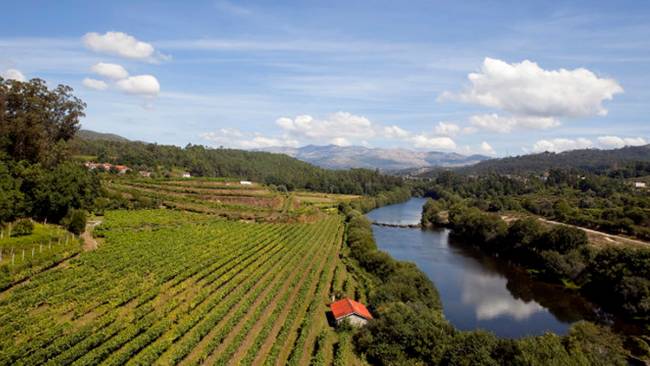 Vinícola da região dos Vinhos Verdes Vinícola da região dos Vinhos Verdes