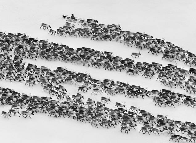 Exposição faz apanhado das obras do fotógrafo desde a década de 70 Exposição faz apanhado das obras do fotógrafo desde a década de 70