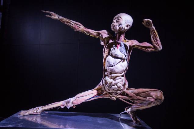 Human Bodies – Maravilhas do Corpo Humano