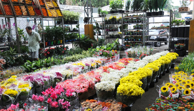 Onde comprar flores no Rio | VEJA RIO