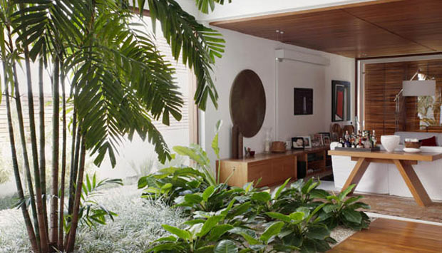 A estrela principal deste jardim de inverno é a palmeira macártur, que chega até o segundo andar da casa. A área verde fica ao lado de uma parede de vidro que possibilita a iluminação natural sobre as plantas. (Crédito: Landscape)<br> A estrela principal deste jardim de inverno é a palmeira macártur, que chega até o segundo andar da casa. A área verde fica ao lado de uma parede de vidro que possibilita a iluminação natural sobre as plantas. (Crédito: Landscape)<br>