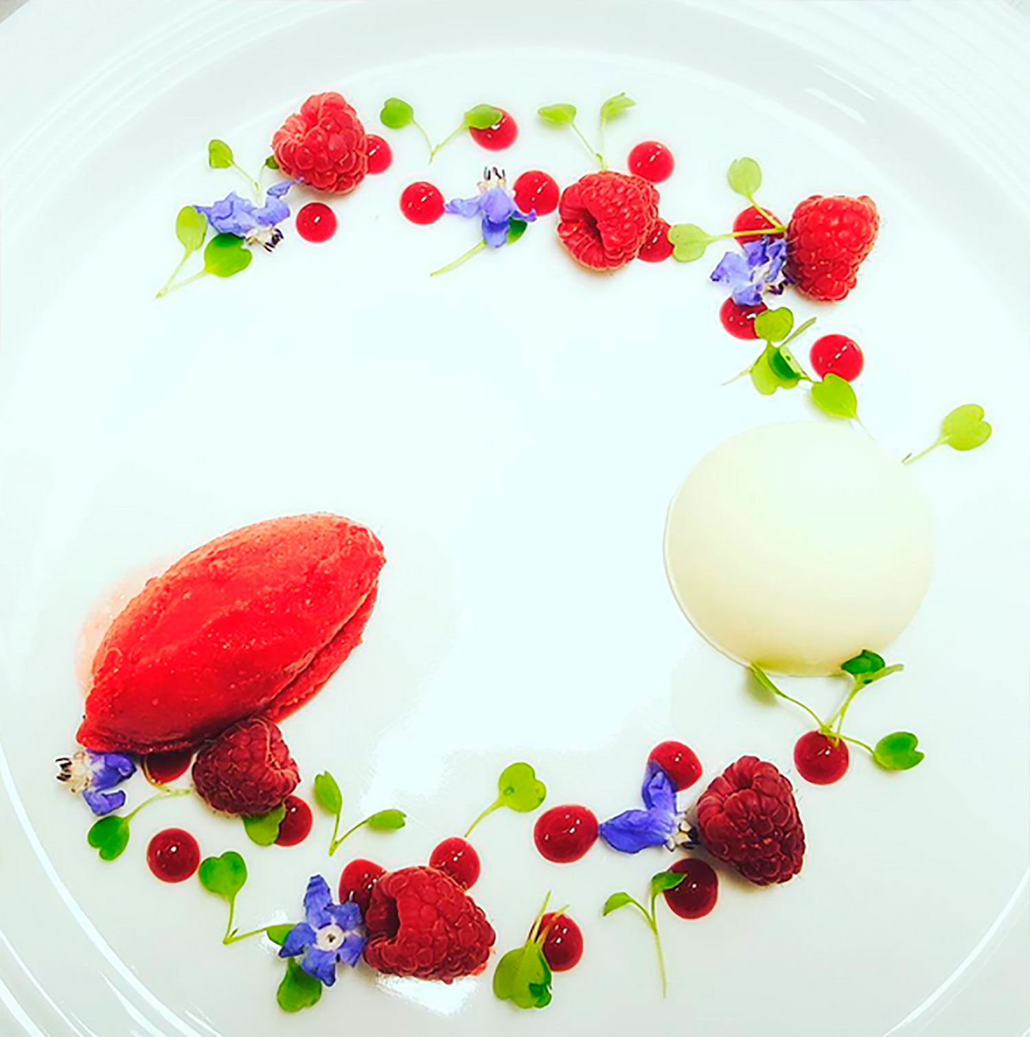 Panna-Cotta-de-Lichia-e-Sorbet-de-Framboesa_AF Gastronomia