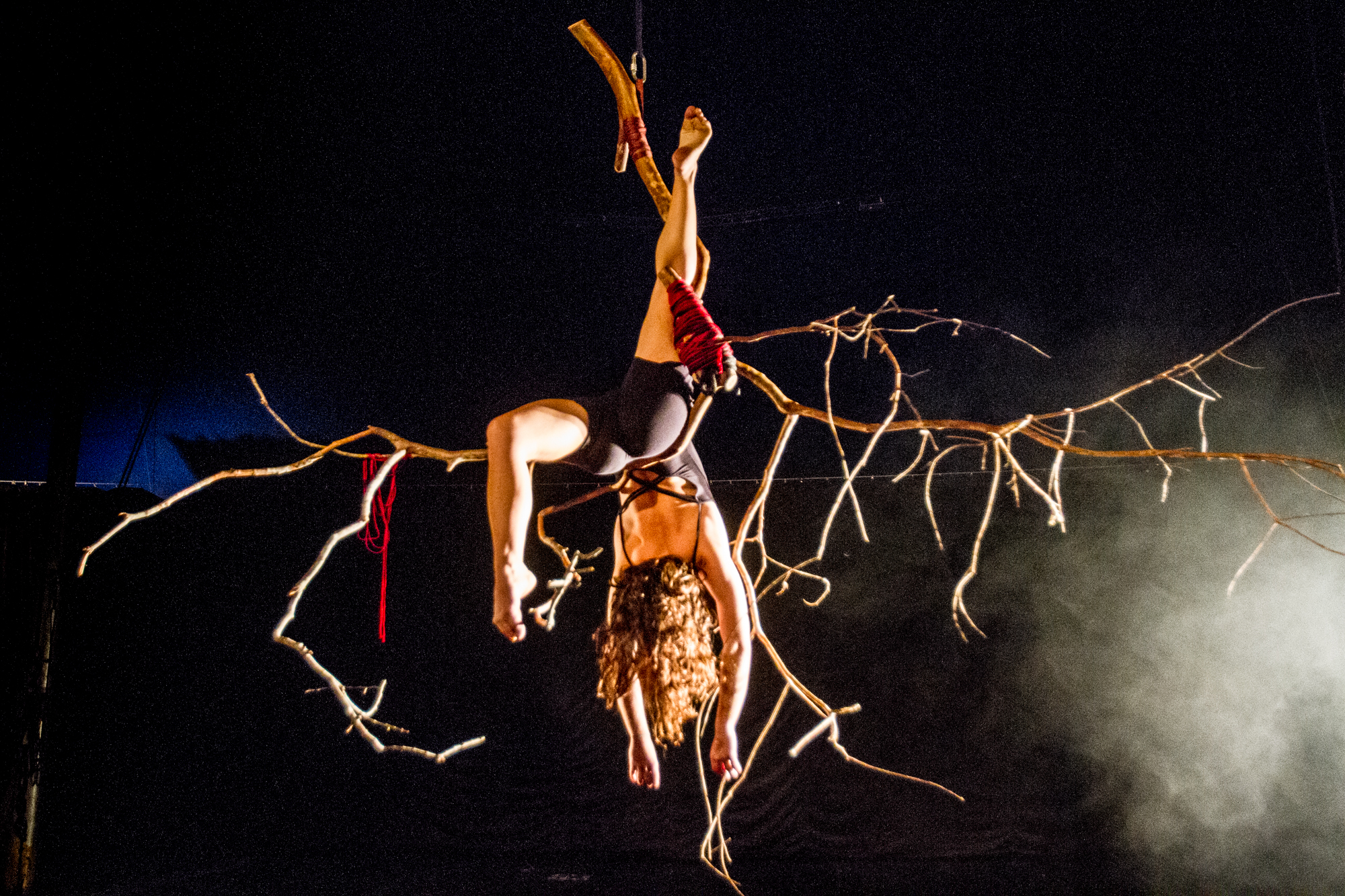 Circo