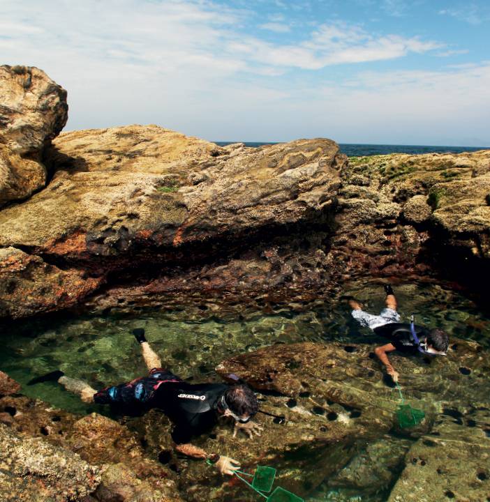 Mergulhadores caçam espécimes em meio às rochas nas Ilhas de Maricá