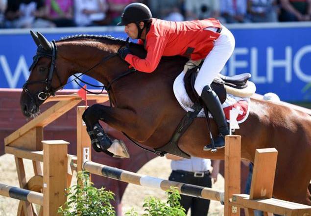 A complexa operação para receber os cavalos dos Jogos Rio 2016