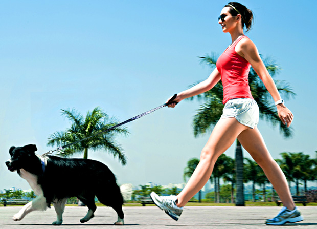 Passeio cachorro