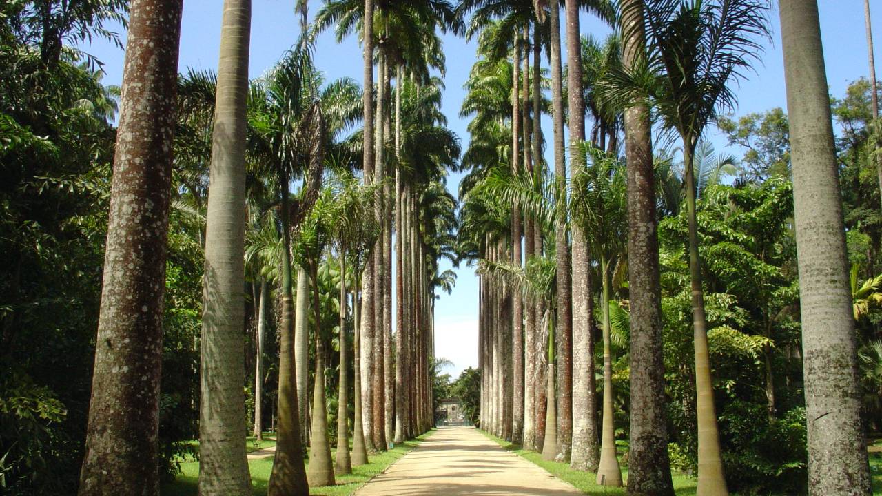 jardim botanico