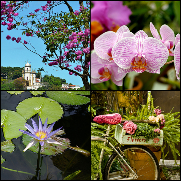 É primavera: Rio em flores