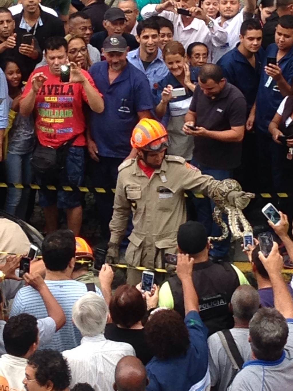 Cobra na Petrobras: réptil foi capturado nesta segunda (19) pelos bombeiros