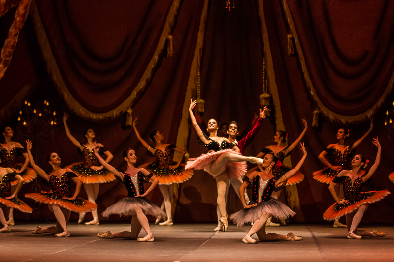 Cia Brasileira de Ballet