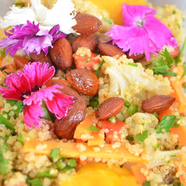 primavera vegana
