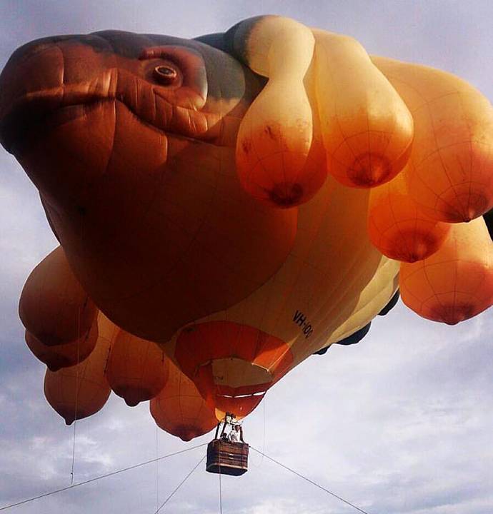 Skywhale, Patricia Piccinini