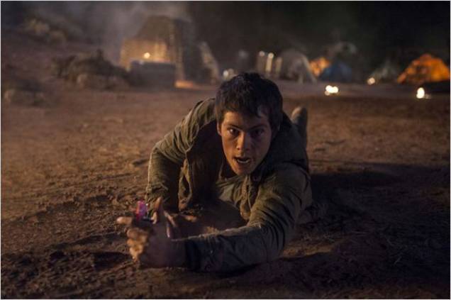 Maze Runner Maze Runner