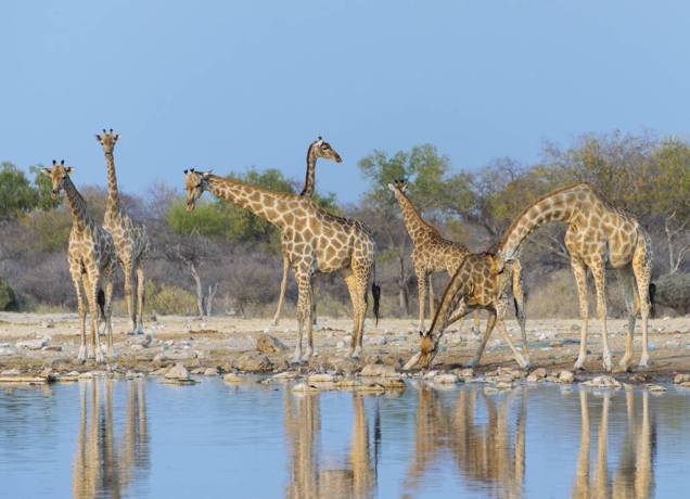 O jovem país africano tem habitats preservados e vida selvagem digna de documentários do Discovery Channel