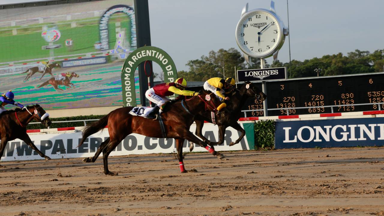 Longines Gran Premio Latinoamericano: maior evento de turfe da América do Sul está de volta ao Rio