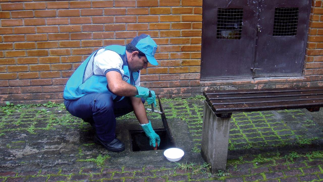 Aedes aegypti no Rio: menor índice de infestação da história da cidade