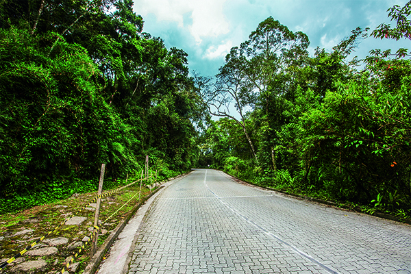 Estrada Cunha-Paraty
