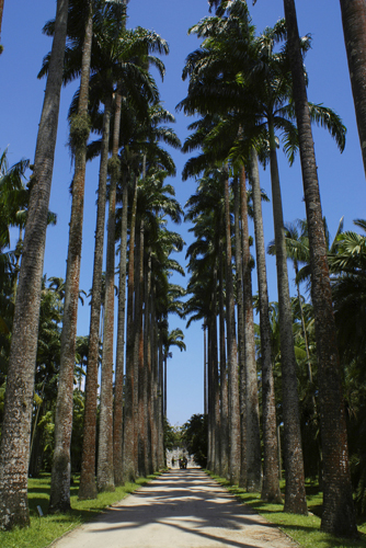 jardim-botanico-abre.jpg