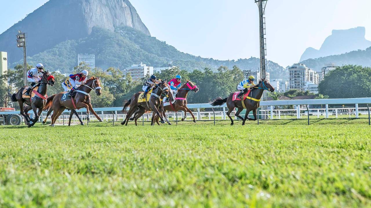 Jockey Club recebe prova de turfe com entrada gratuita | VEJA RIO