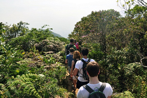 Fundado em 1961, o Parque Nacional da Tijuca pode ser percorrido por cerca de 90 trilhas oficiais<br>