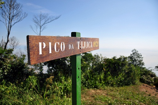 Após pouco mais de uma hora de caminhada, é possível chegar ao topo do Pico da Tijuca. Trata-se do segundo local mais alto da cidade, com 1021 metros de altitude<br>