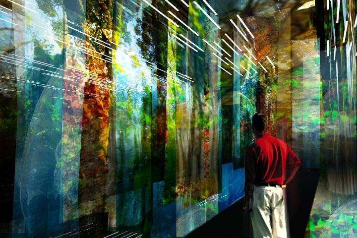Com p&eacute; direito de cinco metros, a sala tem ch&atilde;o, teto e paredes cobertos por espelhos, onde fotografias impressas em tecido criam prolifera&ccedil;&atilde;o infinita de imagens de vegeta&ccedil;&atilde;o. S&atilde;o exibidos exemplares de cerrado, mata atl&acirc;ntica, amaz&ocirc;nia, caatinga, pampas<br>
