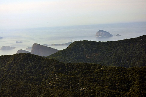 A floreta é ameaçada diariamente pela favelização de encostas e a expansão imobiliária, mas 44% do verde carioca está preservado por lei<br>