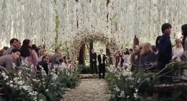 Detalhe do casamento de Edward Cullen e Bella Swan<br>
