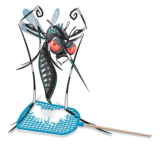 dengue-02.jpg