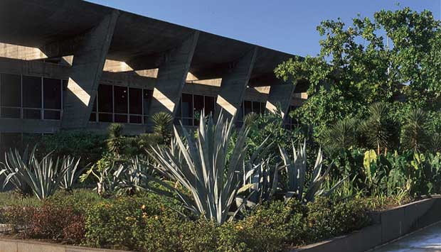 É a obra mais conhecida do arquiteto carioca Affonso Reidy, com jardins do paisagista Burle Marx. A construção segue a orientação da arquitetura racionalista, destacando-se pelas estruturas vazadas e pela integração com o entorno, em perfeita sintonia com<br>