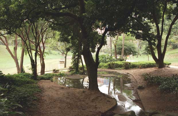 O espaço de quase 25 000 metros quadrados em Laranjeiras constituía os jardins do palacete de Eduardo Guinle (1846-1914), empresário patriarca da família Guinle, erguido na década de 1920. A área verde foi projetada pelo paisagista francês Gérard Cochet.<br>