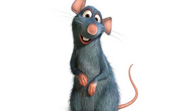 Rémy, o ratinho do filme Ratatouille, vive em uma colônia de ratos no sótão de uma casa na zona rural da França, juntamente com seu irmão Émile e seu pai Django. Ao contrário de seus semelhantes, Rémy é um gourmet cujo habilidoso olfato é útil para distin<br>