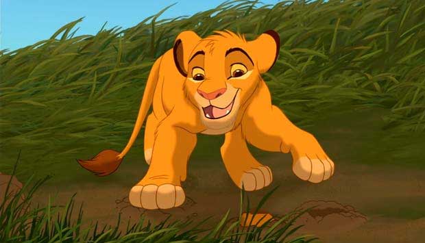 O Rei Leão conta a história de Simba, um pequeno leãozinho que é filho de Mufasa e da rainha Sarabi. Ao longo do filme, Simba é envolvido nas artimanhas de seu tio Scar, o invejoso e maquiavélico irmão de Mufasa, que planeja livrar-se do sobrinho e herdar<br>