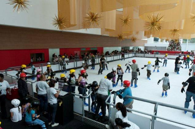 A pista de patinação do shopping Rio Sul tem 300 metros quadrados e é a única da Zona Sul do Rio. Para crianças até cinco anos, tem passeio de trenó. Na Barra, uma das opções é a pista no shopping Barra Garden. Ela acabou de passar por reforma e reabre ne<br>