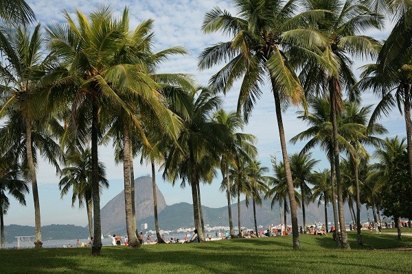 Divulgação