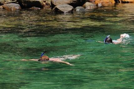 De t&atilde;o transl&uacute;cida, as &aacute;guas dali permitem um perfeito mergulho de snorkel para admirar incont&aacute;veis cardumes de peixes e estrelas do mar<br>