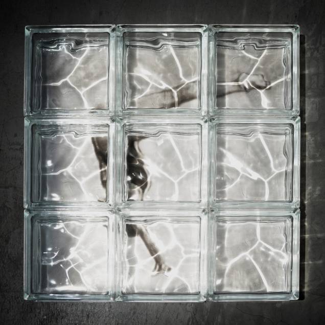 Mergulho na imagem (2009): fotografia aplicada sobre tijolos de vidro
