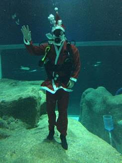 AquaRio: Papai Noel tem marcado presença no Grande Tanque Oceânico