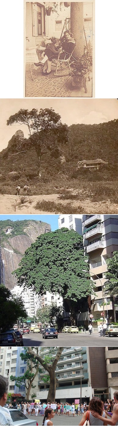 assacu-da-pompeu-loureiro-copacabana-montagem
