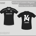 bota-2013