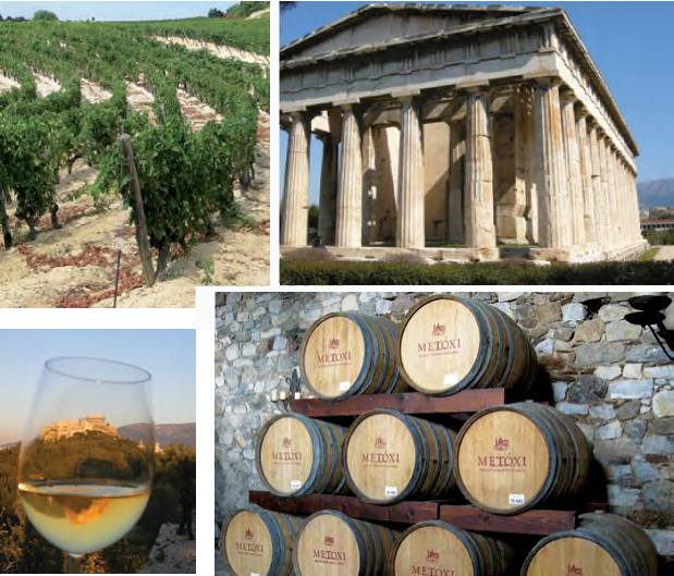 ed-enoturismo-vinicola-vinhedo-atenas-copo