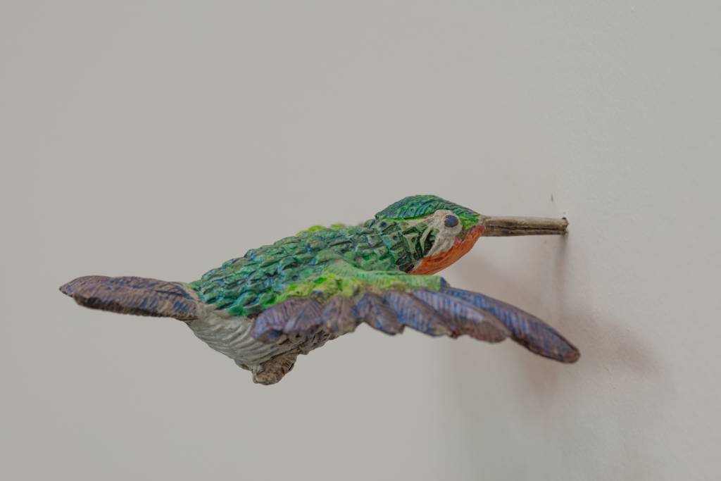efrainalmeida-10167-hummingbirds-ddh-3.jpeg