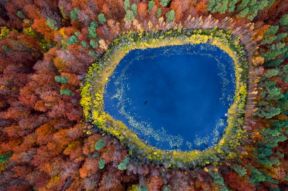 Vista aérea de floresta com colorido exuberante: foto do polonês Kacper Kowalski, um dos 41 profissionais na mostra