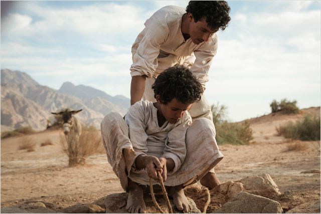 o-lobo-do-deserto.jpeg