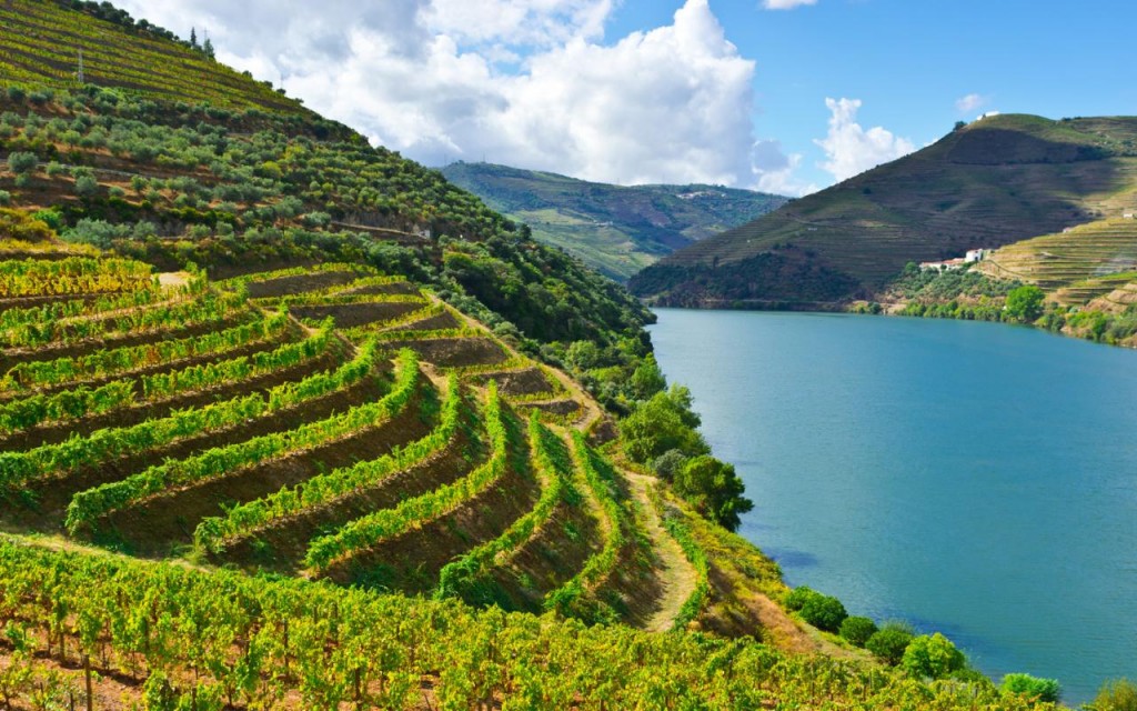 port-douro-xlarge