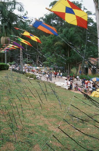 Festival de Pipa