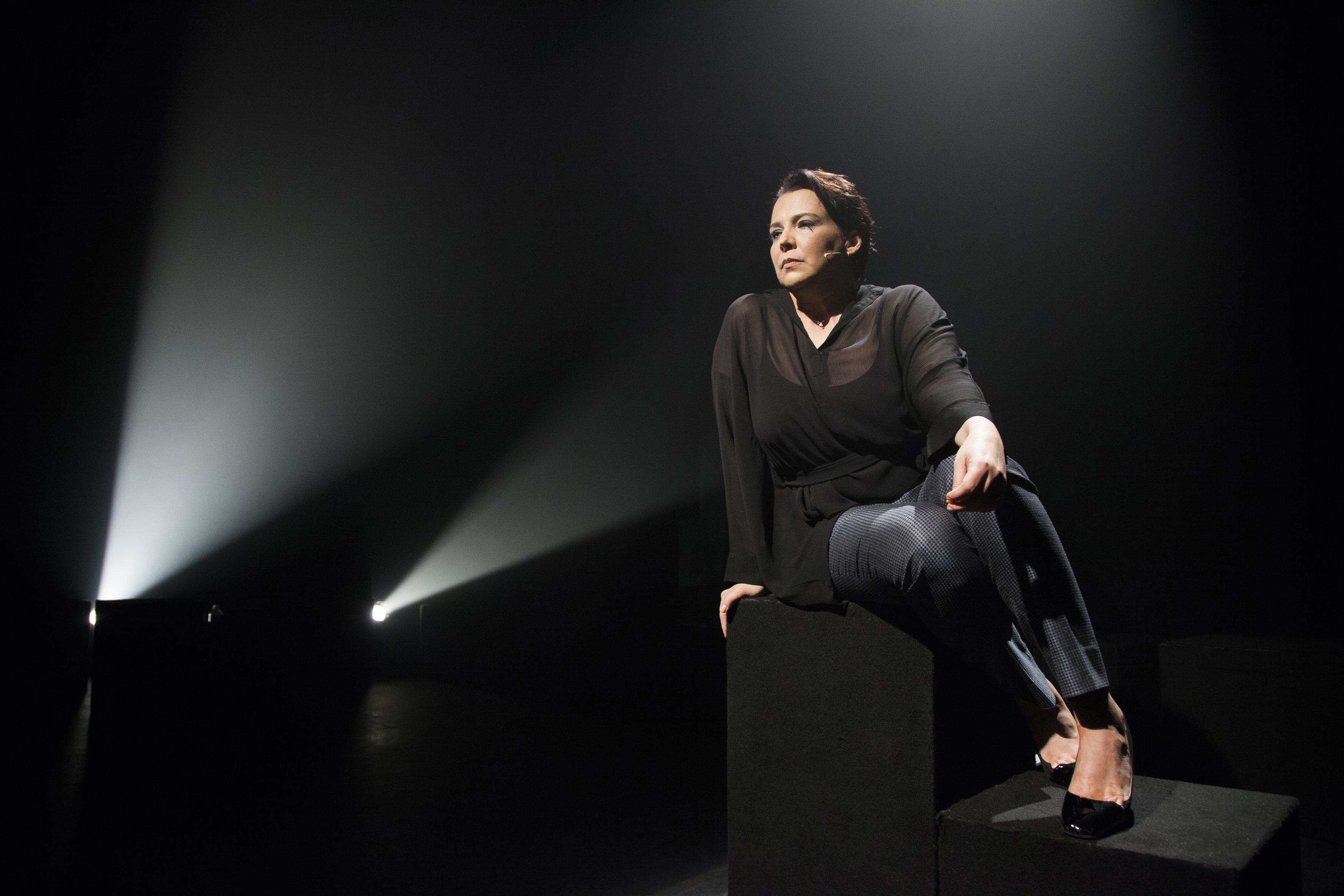 teatro-um-pai-puzzle-_ana-beatriz-nogueira_credito-marcelo-correa_7.jpeg