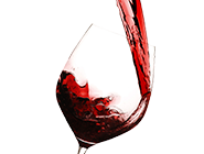 vinoteca.png