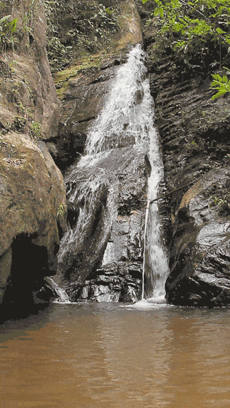 Cachoeira do Horto Cachoeira do Horto